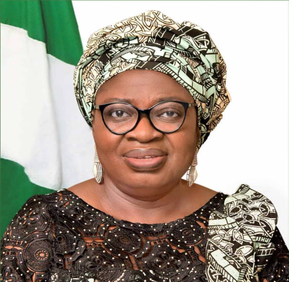 Accountant-General-of-the-Federation-Dr-Oluwatoyin-Madein