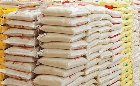01-rice-e1708650000866