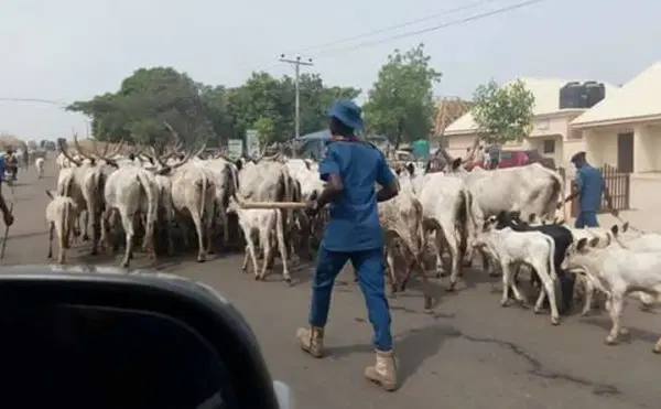 open-grazing-e1556387992176